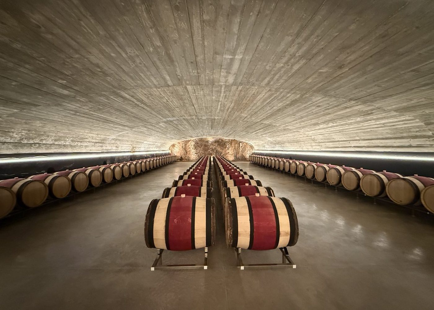 Cava de barricas en Ribera del Duero